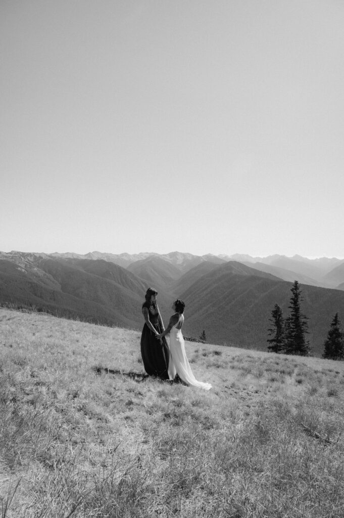 an elopement ceremony on top of hurricane ridge
