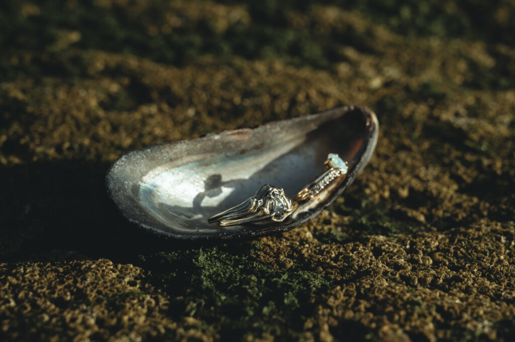 a creative detail shot of wedding rings inside a clam shell